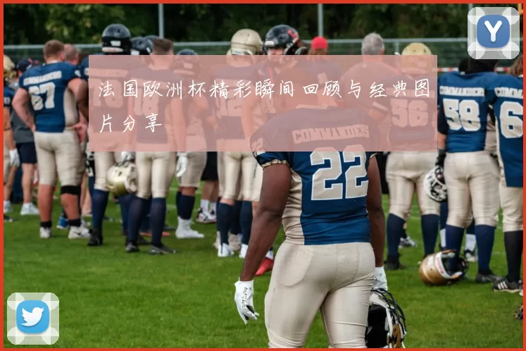 法国欧洲杯精彩瞬间回顾与经典图片分享